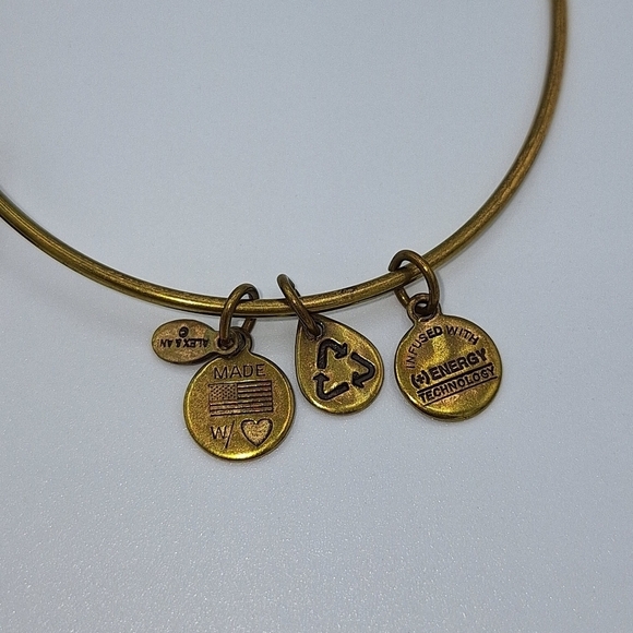 Alex and Ani Rafaelian Gold Finish "E" Bangle - Picture 5 of 9